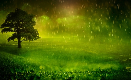 rain